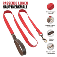 Bild in Galerie-Betrachter laden, Hundeleine aus Leder im Set mit Halsband, rotes Design, stabiler D-Ring, weiche Haptik, robustes Metall.