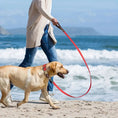 Bild in Galerie-Betrachter laden, Hundeleine aus Leder im Set mit Halsband, lässiger Spaziergang am Strand mit Hund.