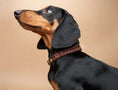 Bild in Galerie-Betrachter laden, Fettleder Hundehalsband Saddle Brown – Naturleder mit Messing, XS bis XXL