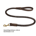 Bild in Galerie-Betrachter laden, Geflochtene Leder Hundeleine mit stabilem Karabinerhaken – robust für den Alltag