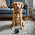 Bild in Galerie-Betrachter laden, Interaktiver Hundeball im Einsatz – kleiner Hund spielt aktiv im Haus