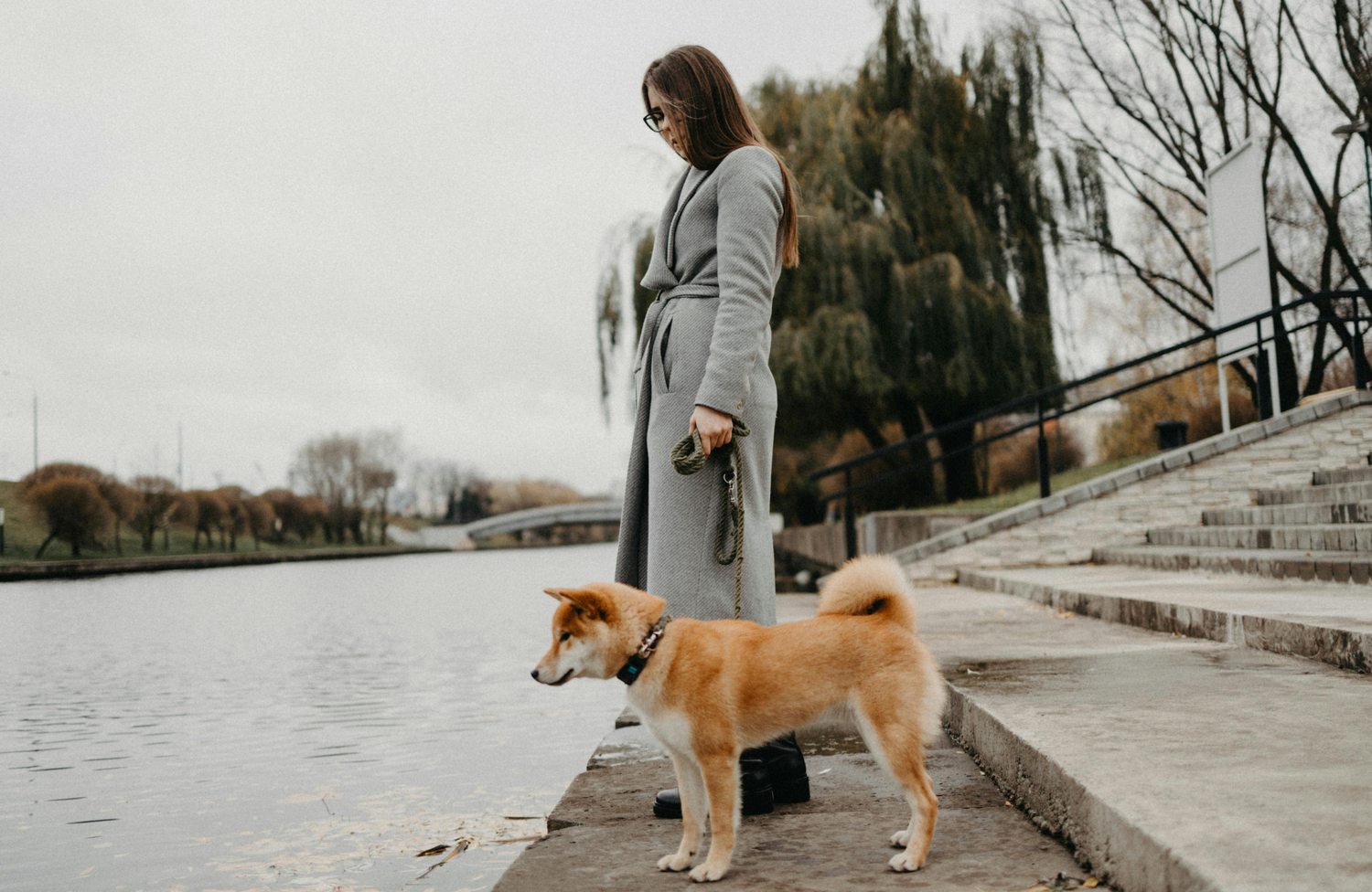 Shiba Inu an MVM Leine mit Halterin am Flussufer – herbstlicher Spaziergang bei grauem Wetter auf Steinweg mit Naturkulisse