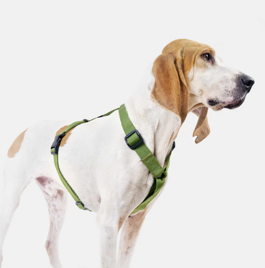 Y-Hundegeschirr Nylon RESC7UE Green I Cloud 7