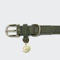 Bild in Galerie-Betrachter laden, Hundehalsband Tiergarten Moss I Cloud 7
