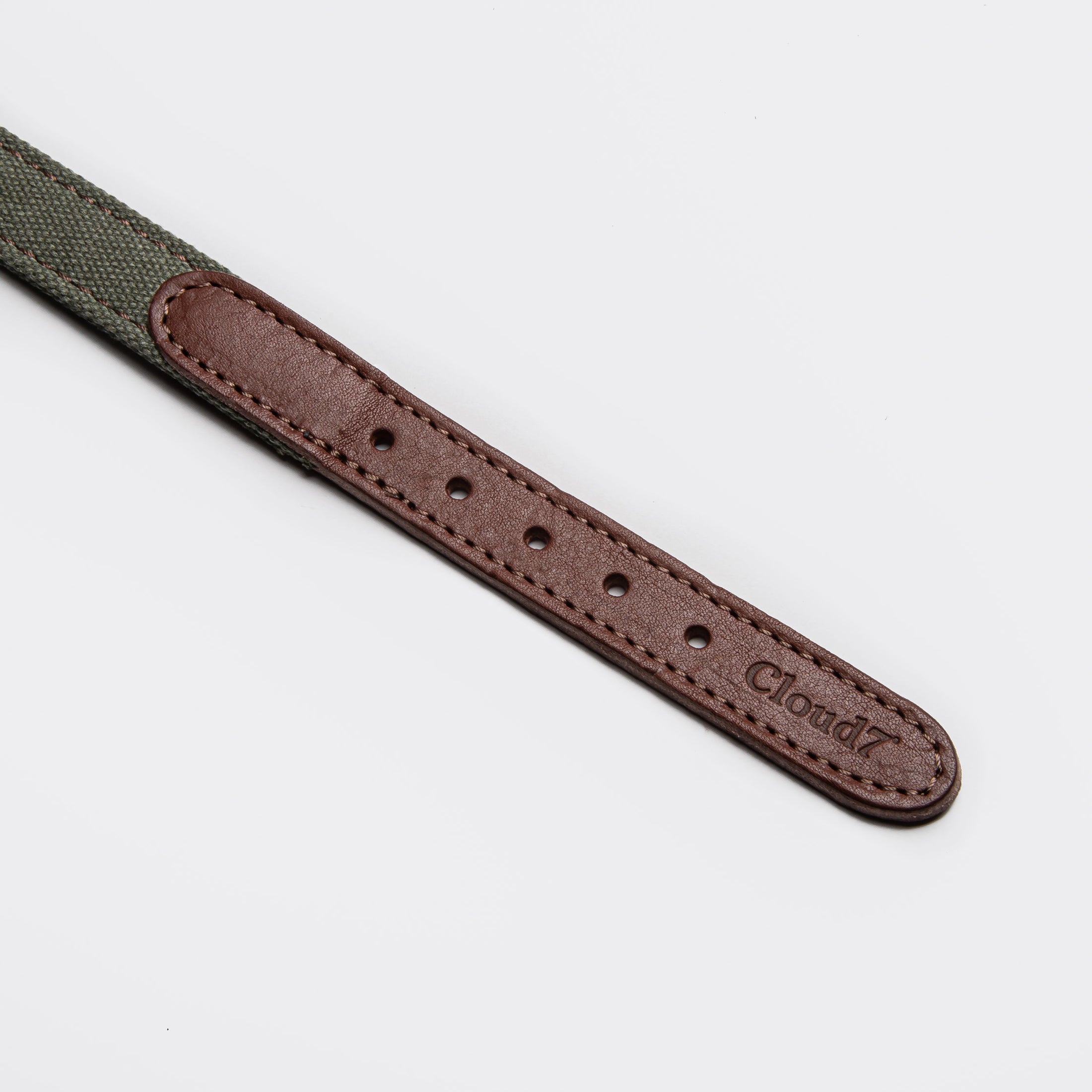 Hundehalsband Tivoli Canvas & Leder Olive I Cloud 7