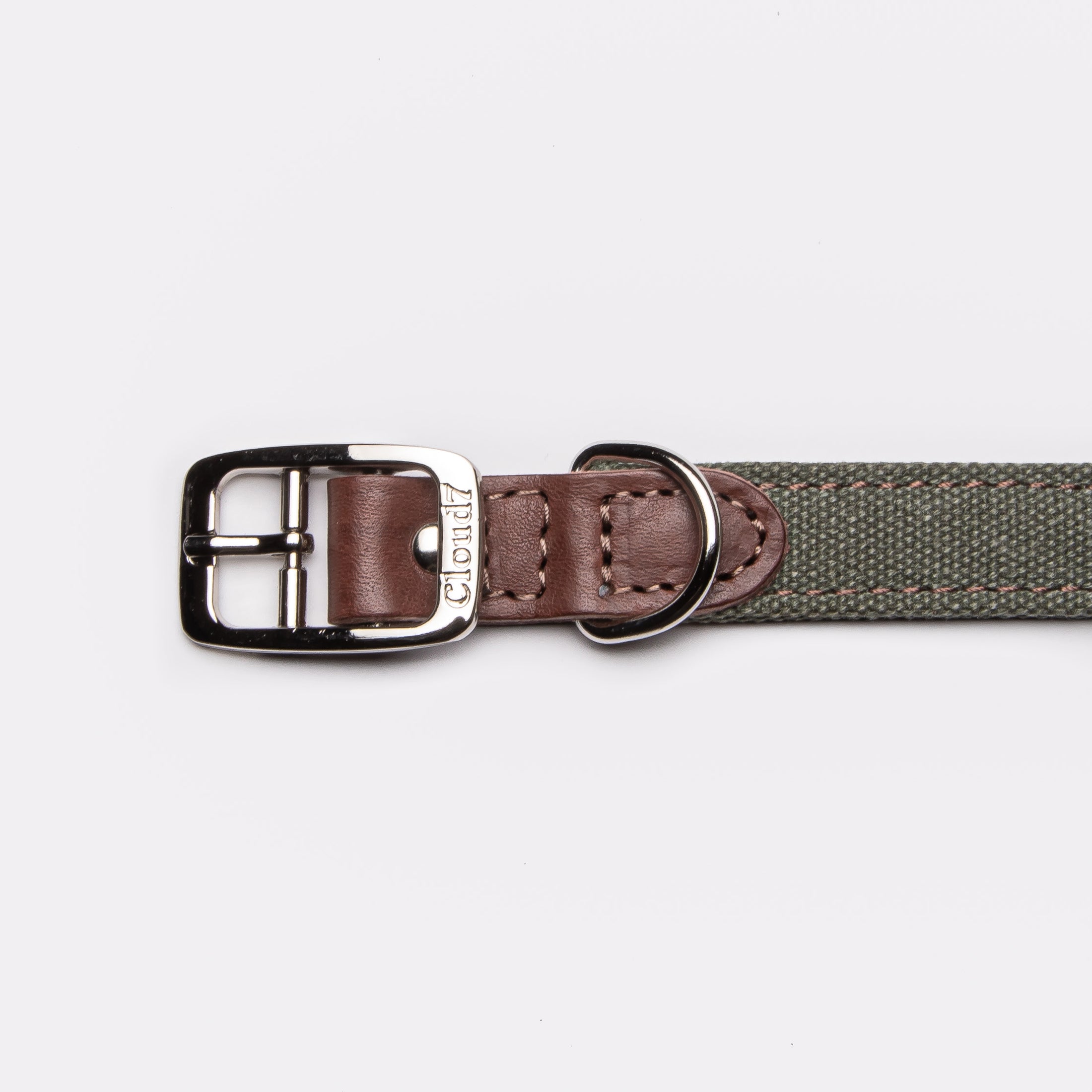 Hundehalsband Tivoli Canvas & Leder Olive I Cloud 7