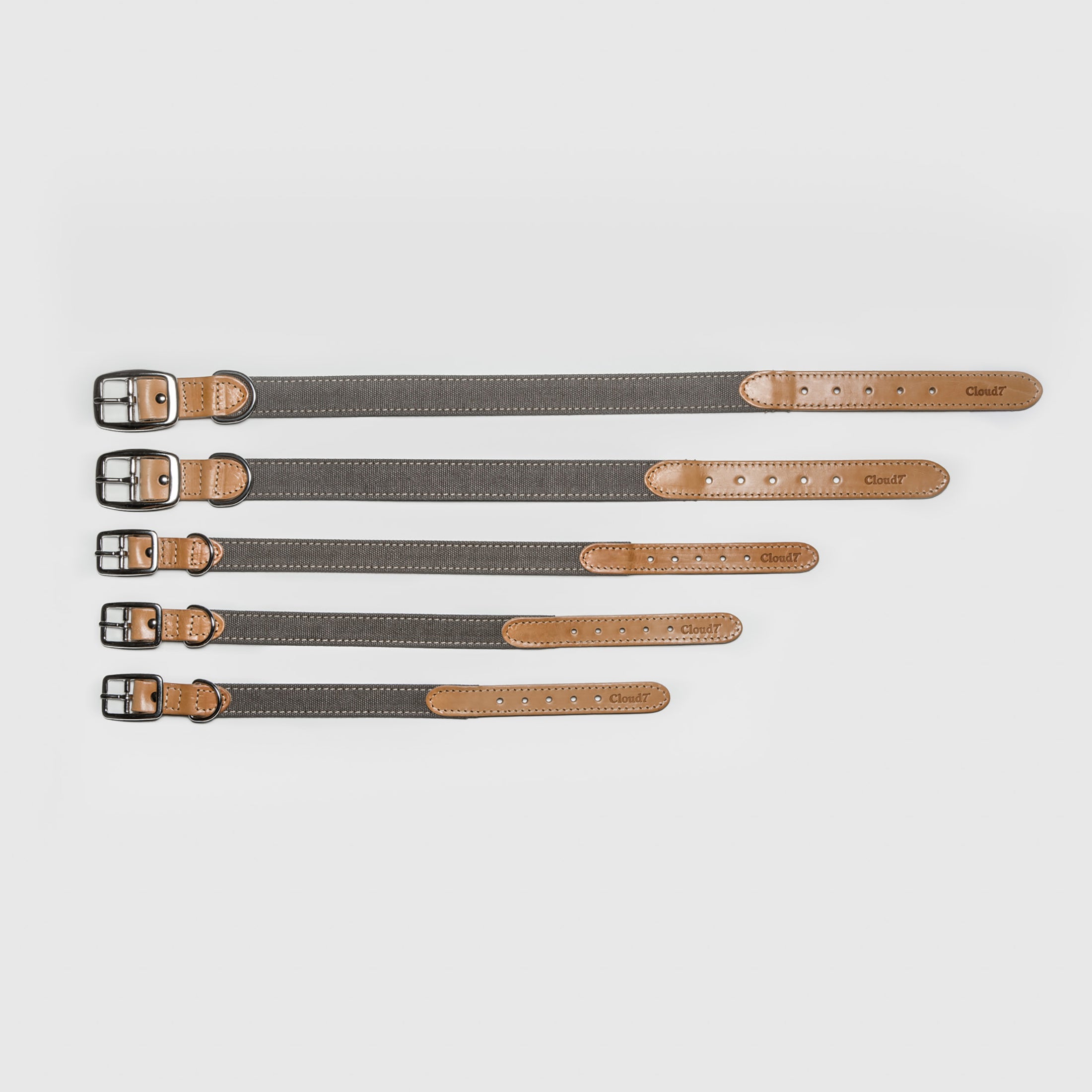 Hundehalsband Tivoli Canvas & Leder Greige I Cloud 7