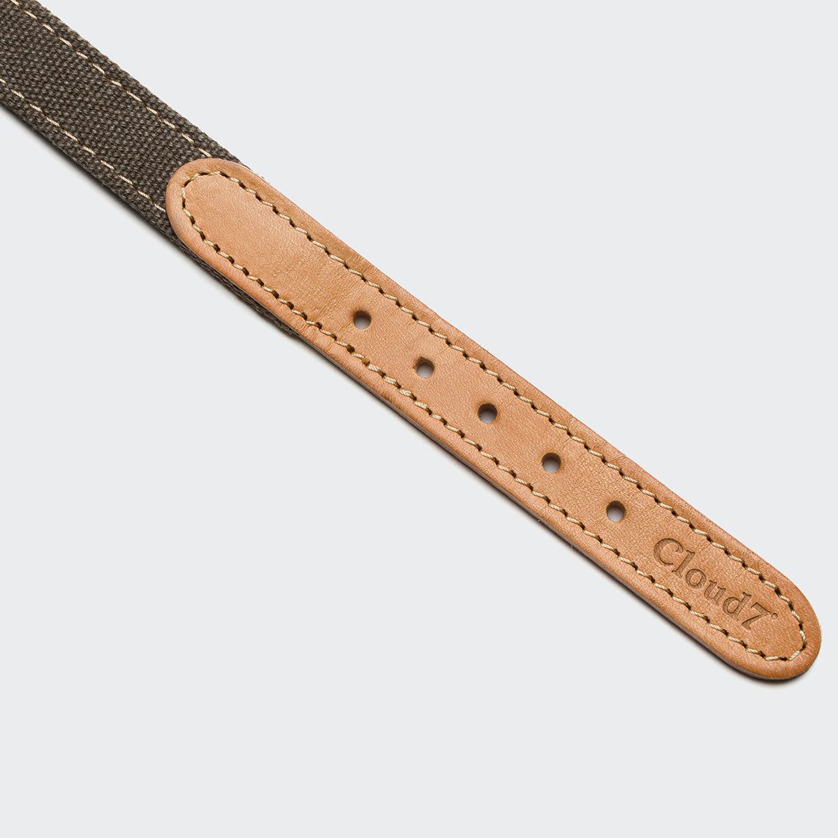 Hundehalsband Tivoli Canvas & Leder Greige I Cloud 7