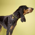 Bild in Galerie-Betrachter laden, Hundehalsband Ravello Moss I Cloud 7
