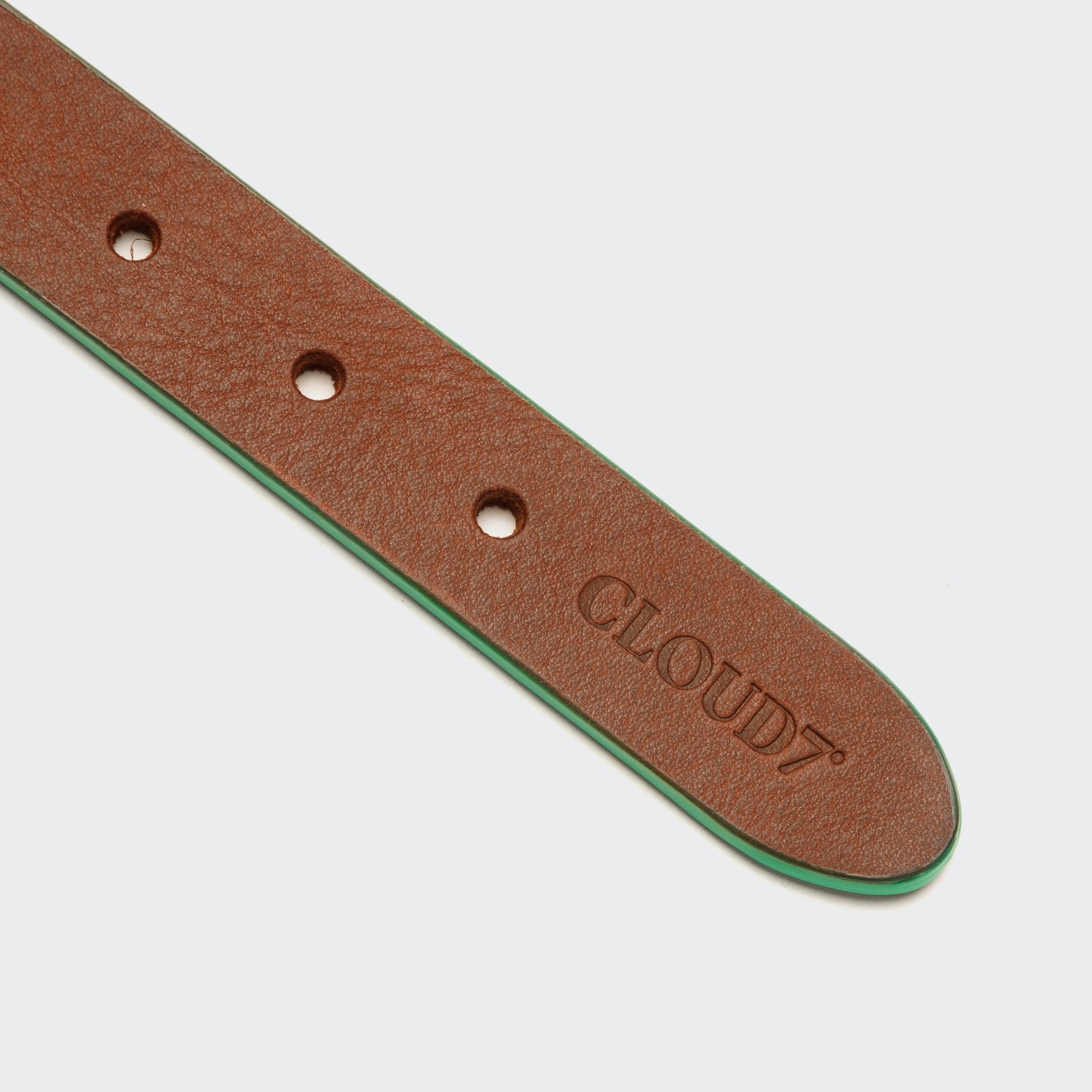 Cloud7 Hundehalsband Kings Park Cognac/Green – Hundehalsband – MVM