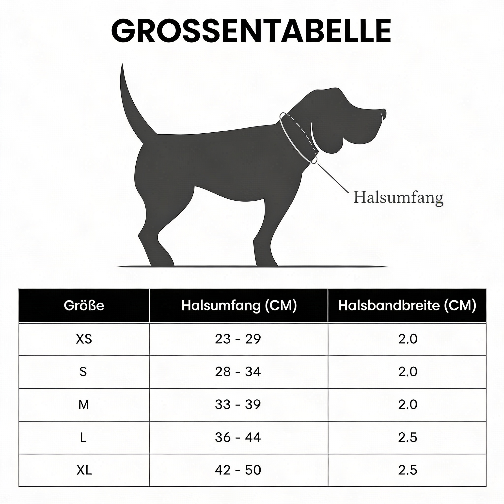 Hundehalsband Tivoli Canvas & Leder Olive I Cloud 7