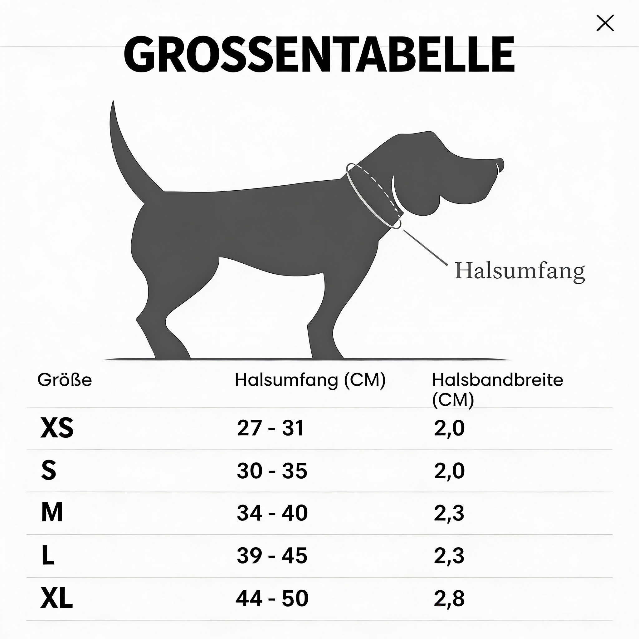 Hundehalsband Central Park Camel Gold I Cloud 7