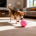 Bild in Galerie-Betrachter laden, Hundeball – Interaktiv, selbstbewegend & USB-aufladbar
