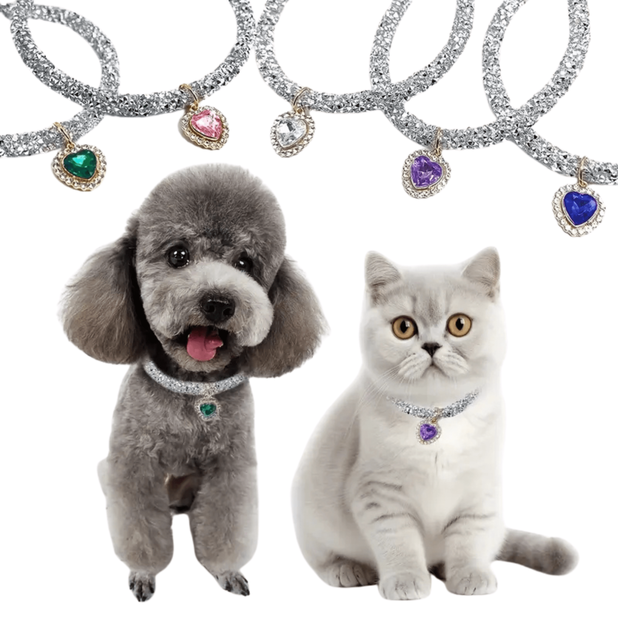 Halsbandschmuck für Katzen & Hunde – Katzenhalsband – MVM