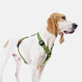 Bild in Galerie-Betrachter laden, Hundegeschirr Nylon Green – Hunde Geschirr – MVM
