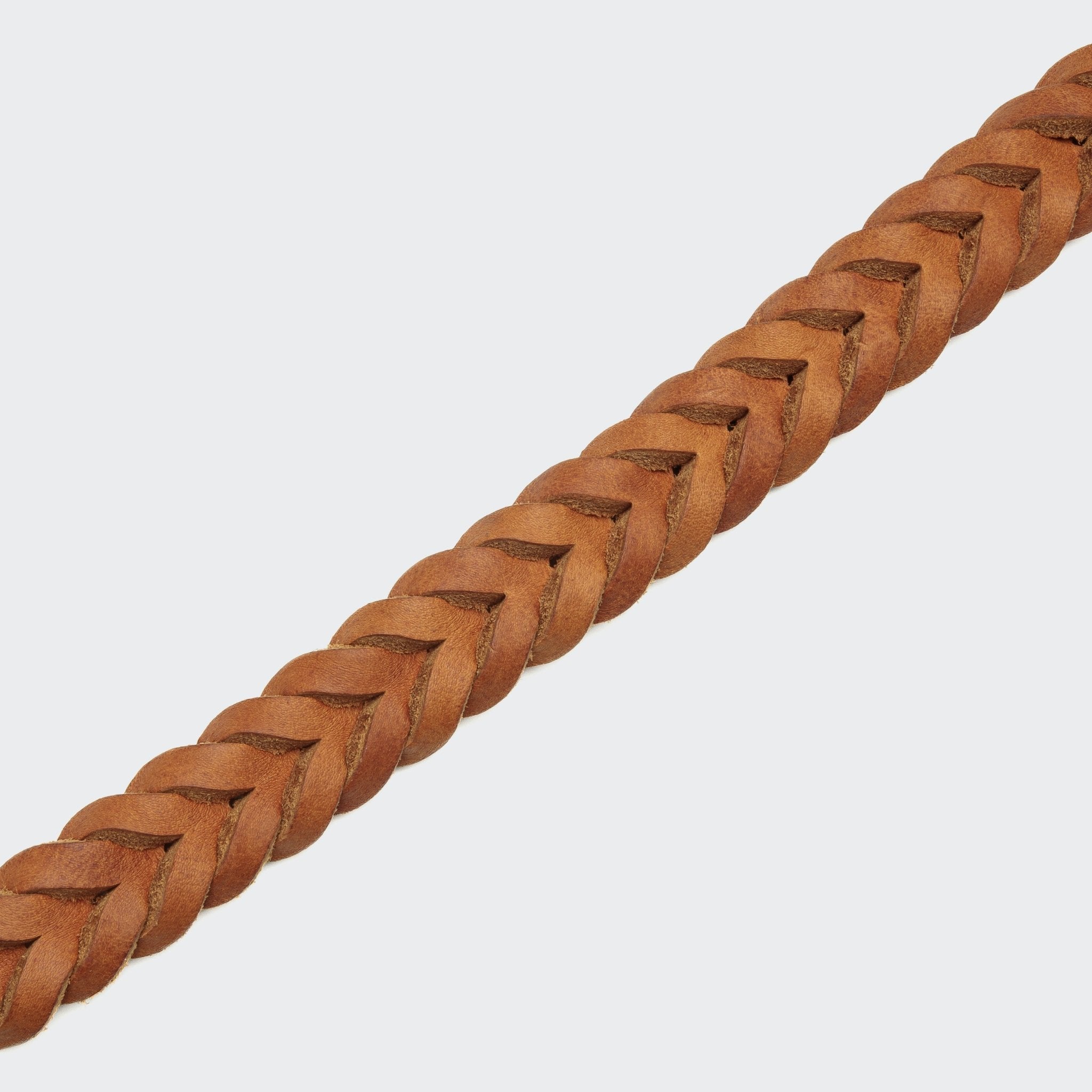 Hundehalsband Camel Gold – Hundehalsband – MVM