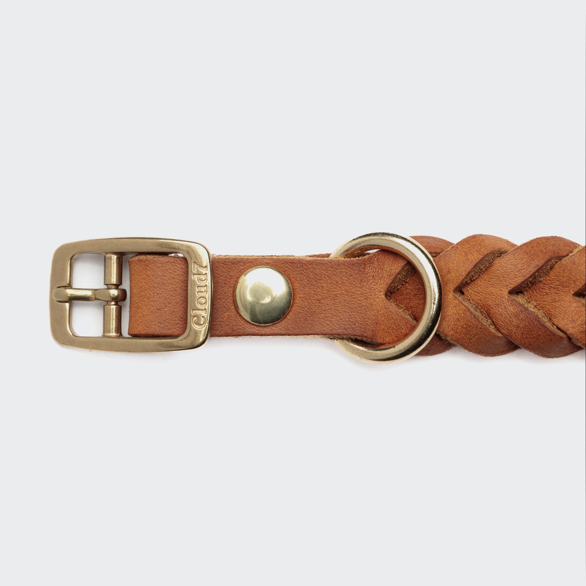 Hundehalsband Camel Gold – Hundehalsband – MVM