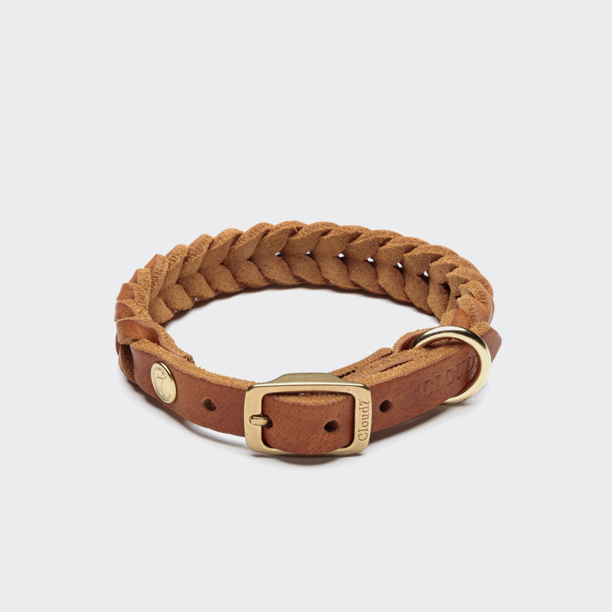 Hundehalsband Camel Gold – Hundehalsband – MVM
