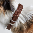 Bild in Galerie-Betrachter laden, Hundehalsband geflochten Leder Braun Silber – handgemacht – Hundehalsband – MVM
