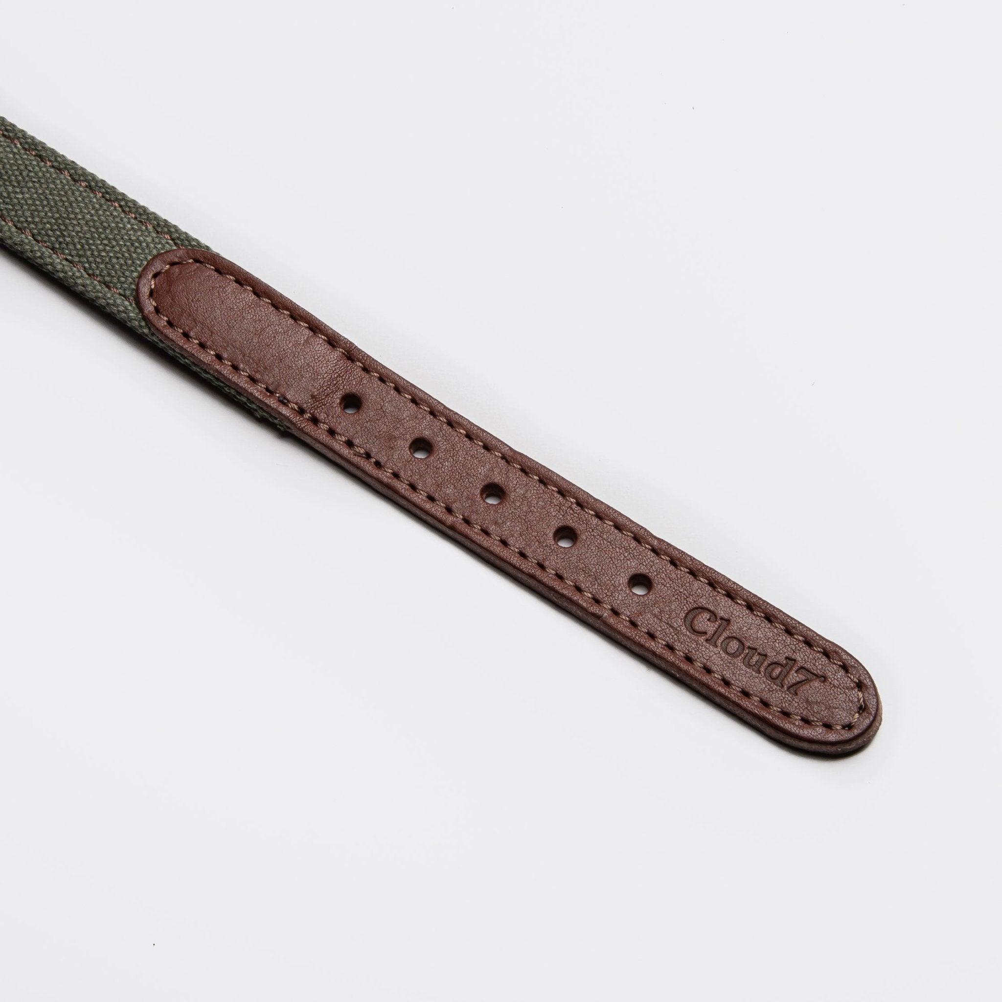 Hundehalsband Olive – Canvas & Leder – Hundehalsband – MVM