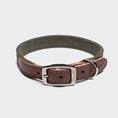 Bild in Galerie-Betrachter laden, Hundehalsband Olive – Canvas & Leder – Hundehalsband – MVM
