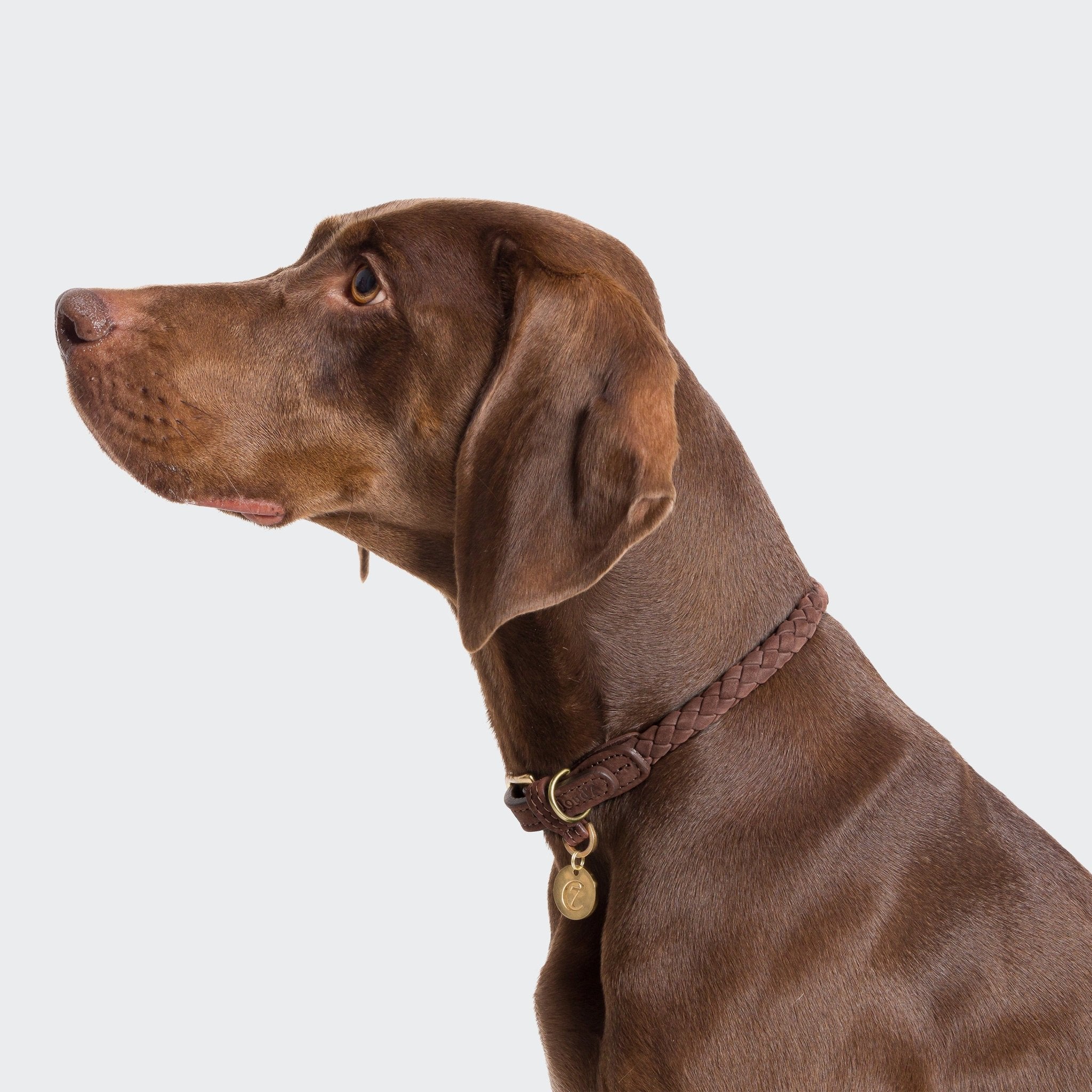Hundehalsband – Rundgeflochtenes Nubukleder – Hundehalsband – MVM
