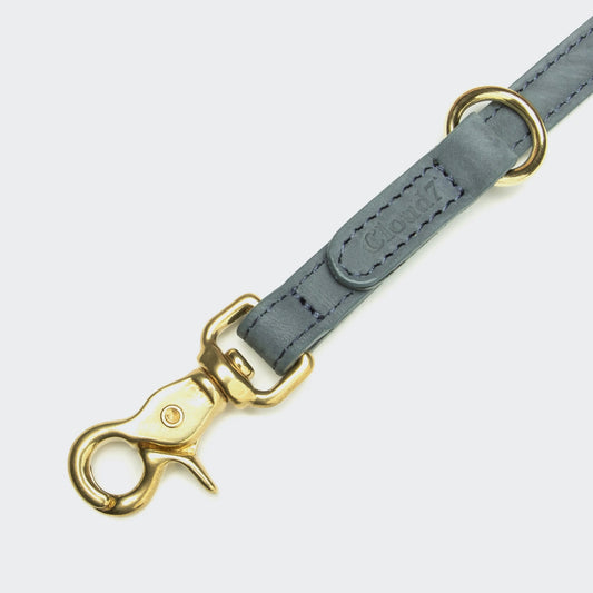 Detailansicht Cloud7 Hundeleine Tiergarten Dove mit Messing-Karabiner – MVM