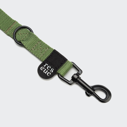 Hundeleine Nylon Green – Hundeleine – MVM