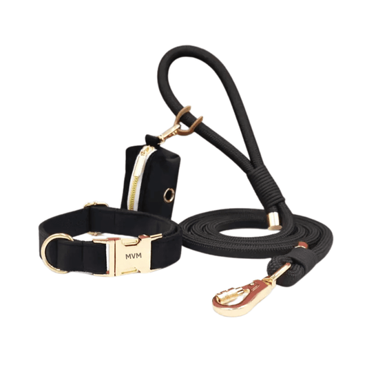 Hundeleine und Halsband Set aus schwarzem Samt mit Kotbeutelspender und goldenen Akzenten.