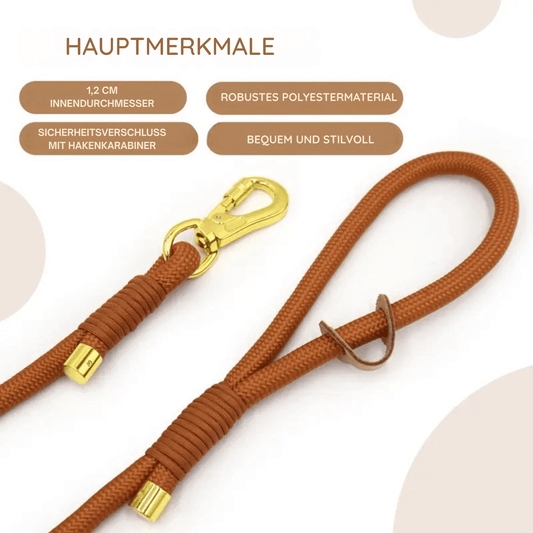 Hundeleine und Halsband Set aus Samt in Beige – Hauptmerkmale: robust, bequem, stilvoll, 1,2 cm Innendurchmesser.