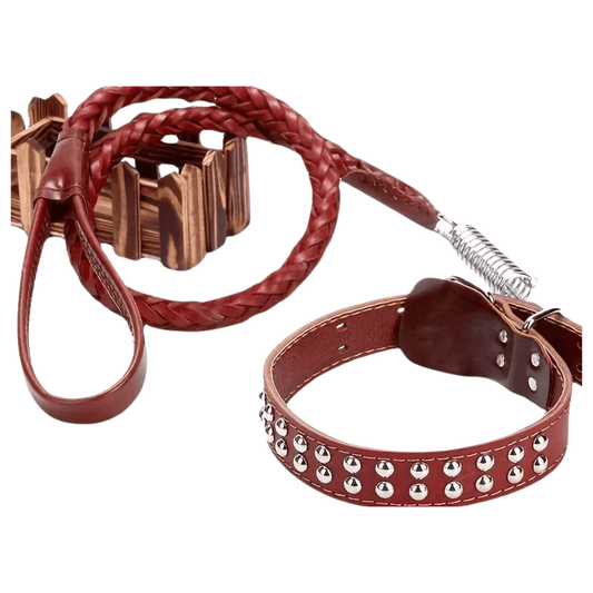 Leder Hundeleine Set Vintage Bordeaux für große Hunde mit geflochtenem Design und robustem Halsband.